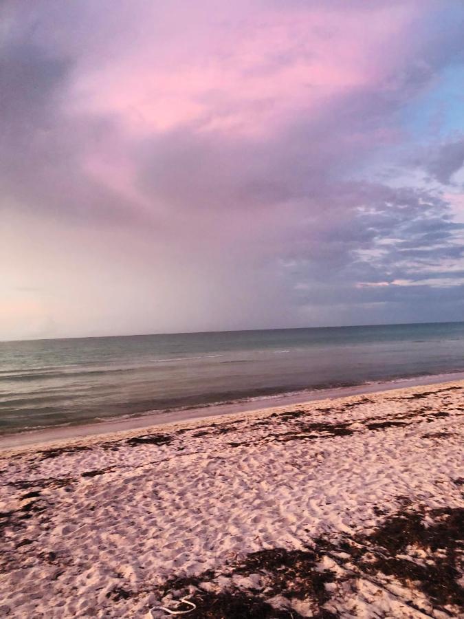 Апартаменты Cabana Colibri A 50 Metros De La Playa Эль-Куйо Экстерьер фото