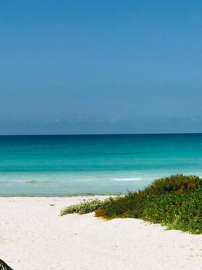Апартаменты Cabana Colibri A 50 Metros De La Playa Эль-Куйо Экстерьер фото