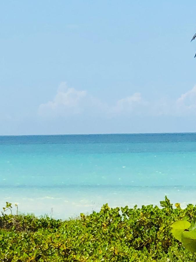 Апартаменты Cabana Colibri A 50 Metros De La Playa Эль-Куйо Экстерьер фото